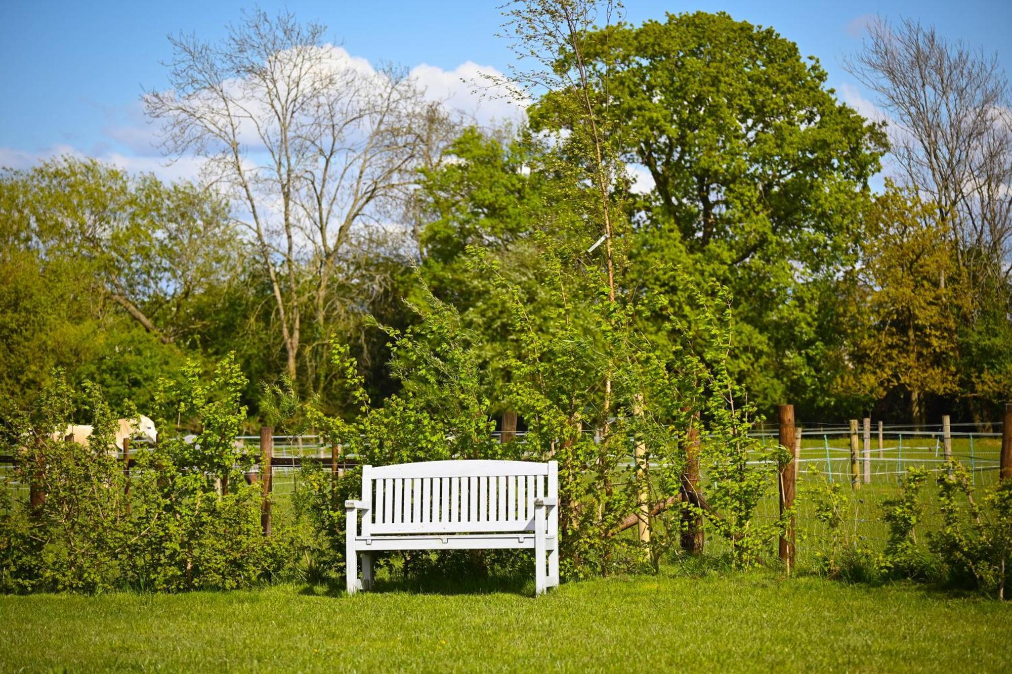 Bluebell Cabin Badsey Dış mekan fotoğraf